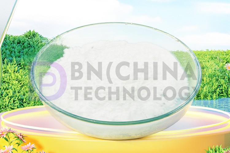 High-Temperature Resistance and Electrical Insulation: The Core Capabilities of H-BN Powder